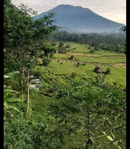 Accommodatie bij particulieren Lumbung Ayu Sari & *